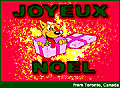 Joyeux Noel - from Toronto, Canada!